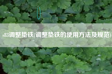 s83<a href='http://www.wapsx.cn/jichuangdiantiexilie/' target='_blank' title='調(diào)整墊鐵' ><strong>調(diào)整墊鐵</strong></a>(調(diào)整墊鐵的使用方法及規(guī)范)